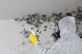 Mold Odor Removal Services in Fillmore, CA